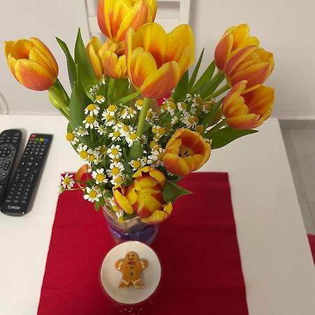 Alexandar13 Apartment Белград Екстериор снимка