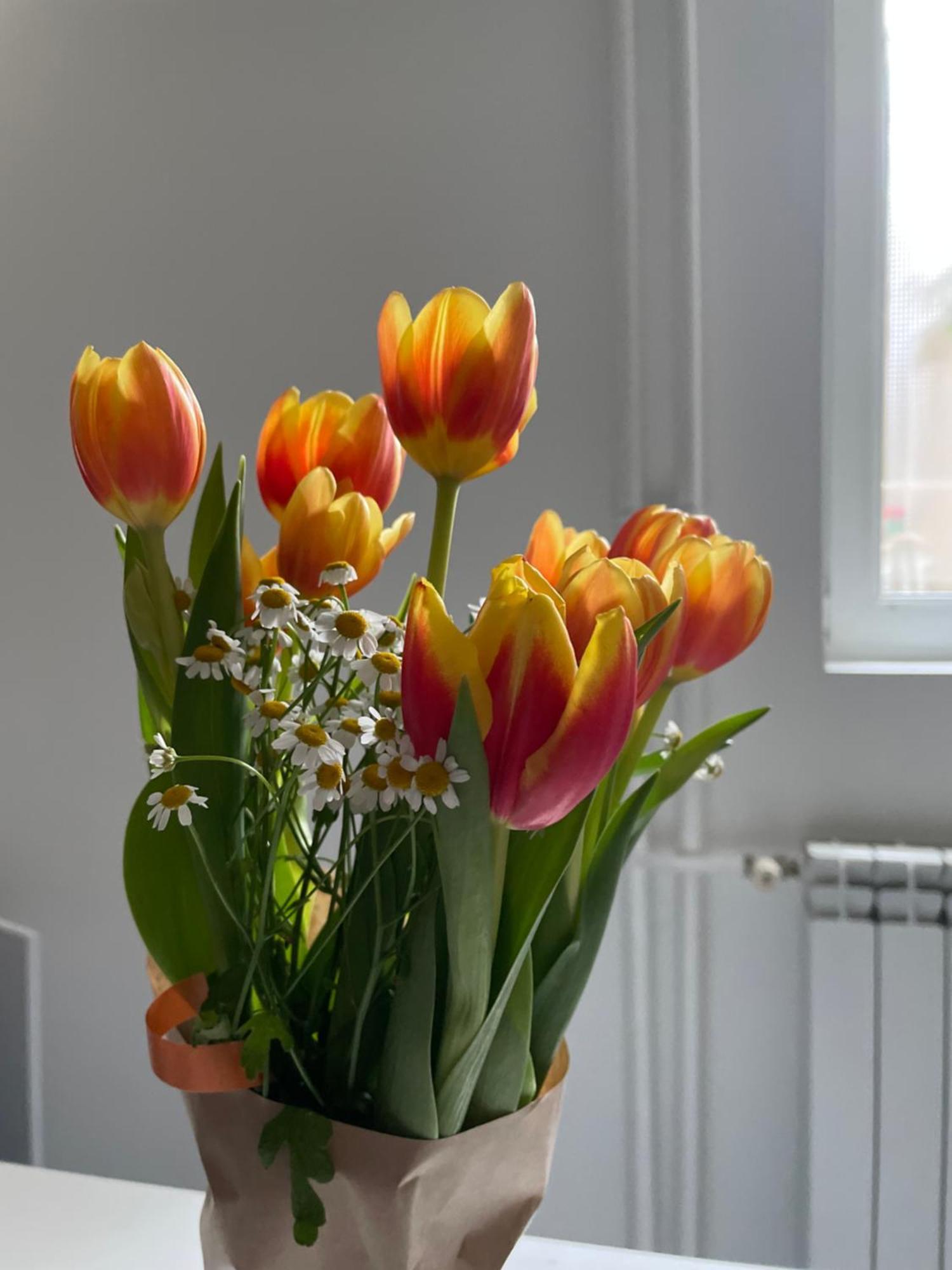 Alexandar13 Apartment Белград Екстериор снимка